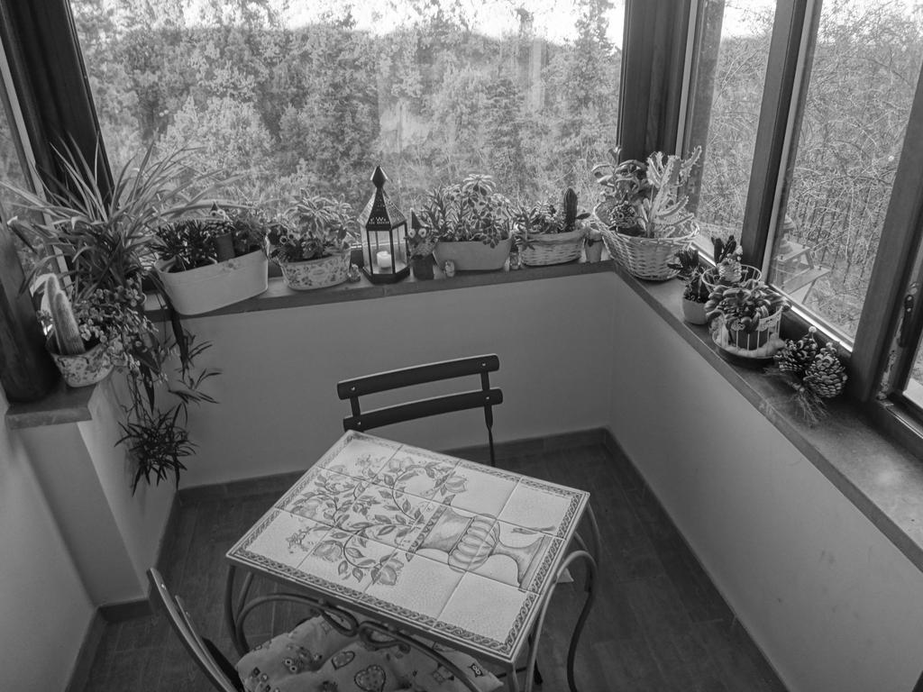 La Casetta Della Nonna Bagnoregio Szoba fotó